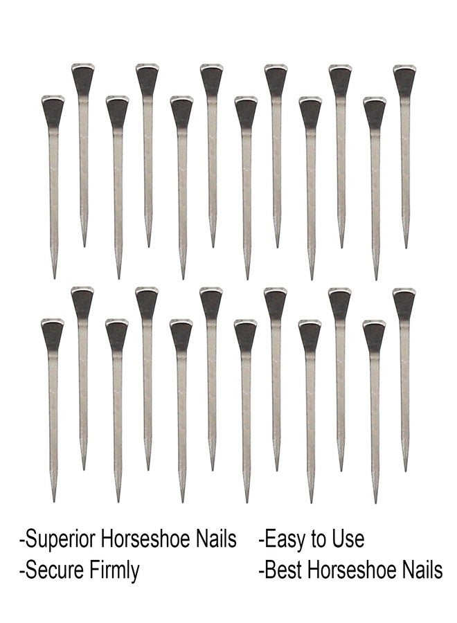 UOIENRT 250Pcs E5 Horseshoe Nails (2 Inch), Stainless Steel Horse Hoof Nails Horseshoe Nails for Securing Firmly - Image 5